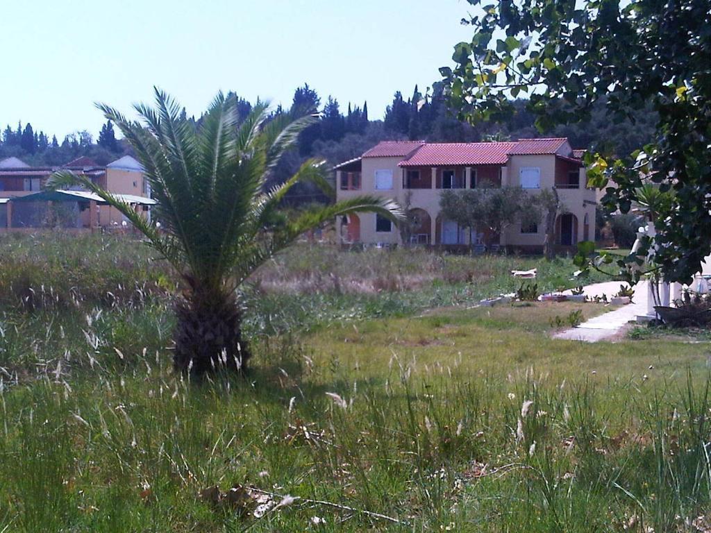 Virginia'S Beachfront Apartments Kavos Luaran gambar