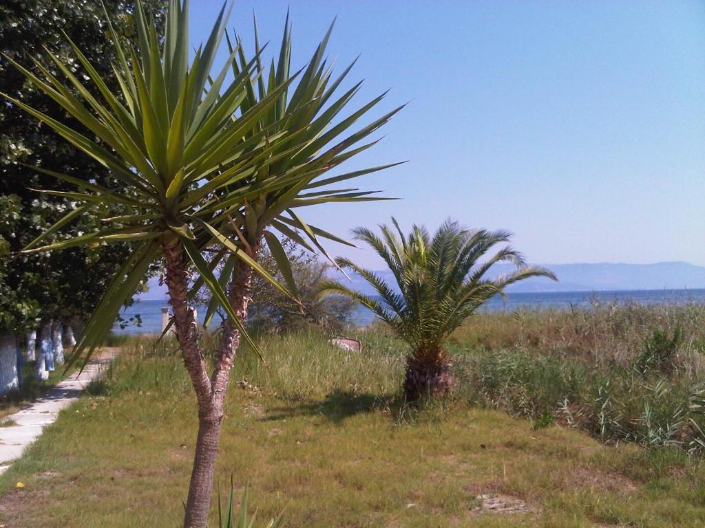 Virginia'S Beachfront Apartments Kavos Luaran gambar